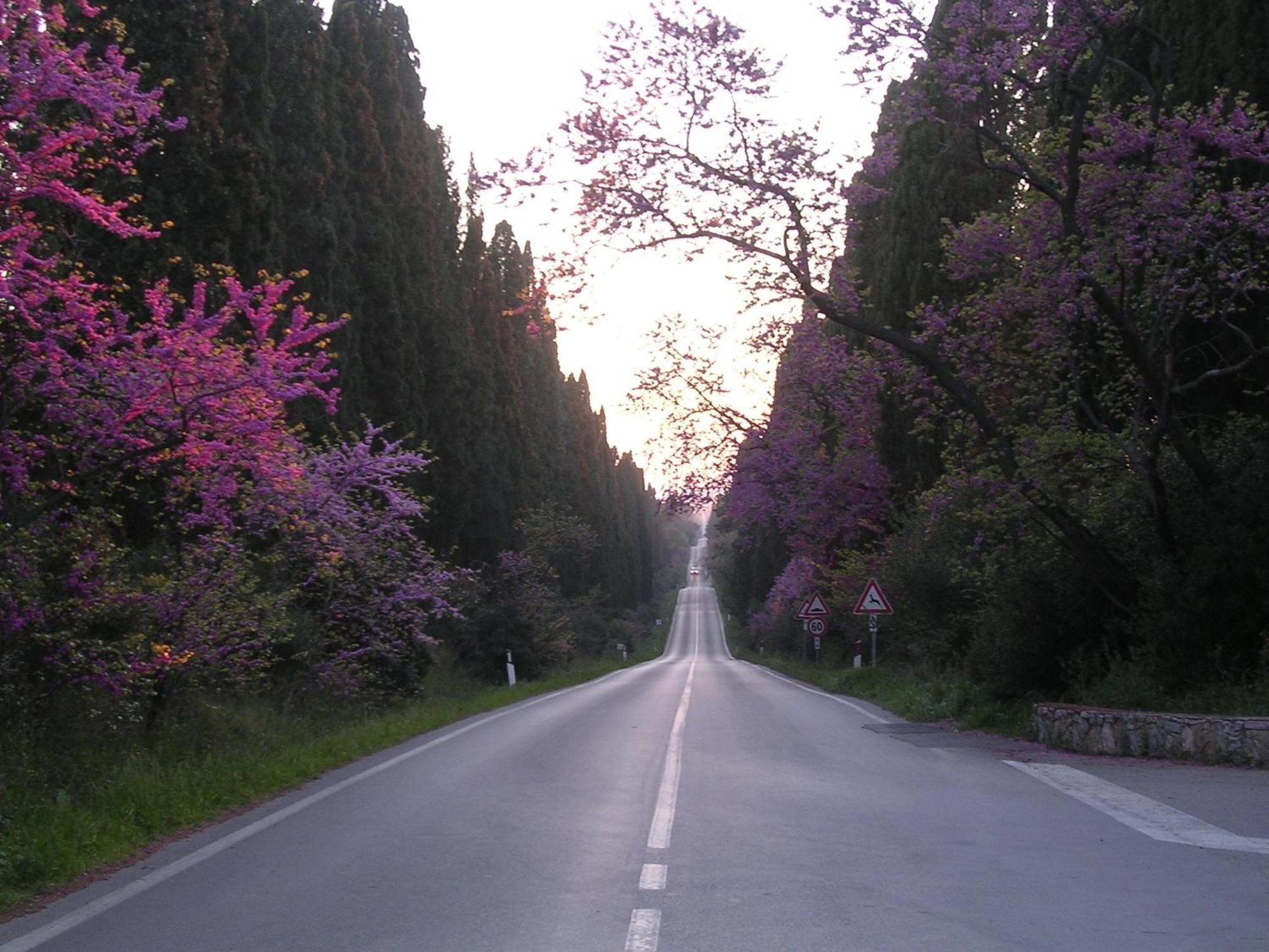 Hotel Il Ponte Cecina  Buitenkant foto